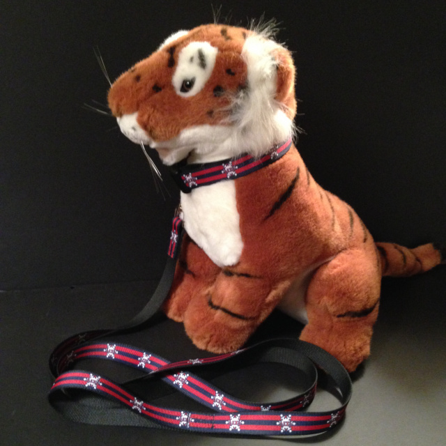 Alta Dog Collar and Alta Leash